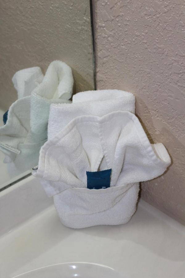 Apm Inn & Suites - Jacksonville Bagian luar foto